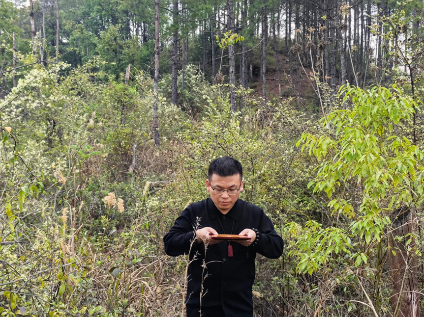 墓地环境策划